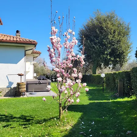 Fuori Dal Borgo.... Vitorchiano